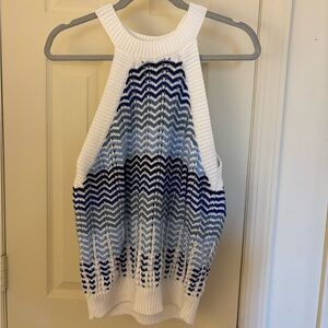 LOFT Blue and White Chevron Knit Sweater